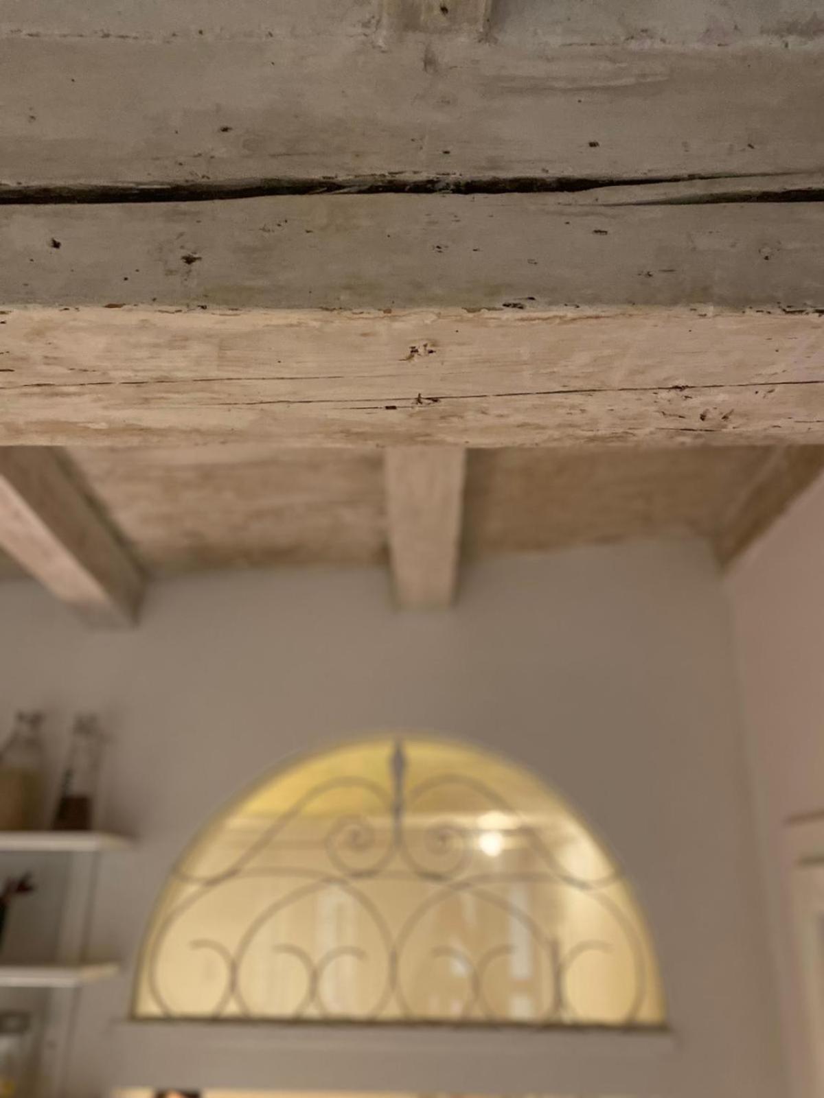 Casina Centotrecento-Romantic & Quite Apartment- Bologna Ngoại thất bức ảnh